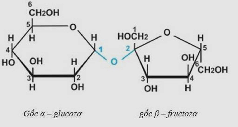 Glucose là gì? Công thức, cấu tạo, tính chất và ứng dụng