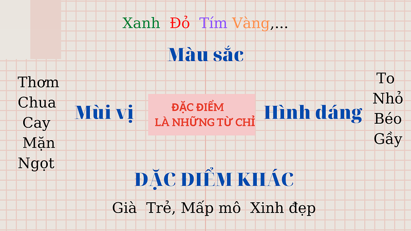 Từ chỉ Tiếng Việt lớp 2 chỉ đặc điểm và bí quyết giúp các em học tốt kiến thức này!