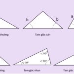 Tất tần tật các hình trong toán – Chỉ mất 3 phút là nhớ