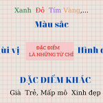 Từ chỉ Tiếng Việt lớp 2 chỉ đặc điểm và bí quyết giúp các em học tốt kiến thức này!