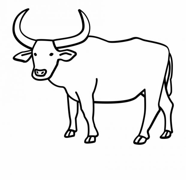 Tổng hợp 28 mẫu tranh tô màu con bò đáng yêu ngộ nghĩnh ở nông trại