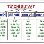 Tiếng Việt lớp 2 thế nào là từ chỉ sự vật? Có những loại nào? Làm thế nào để học hiệu quả?