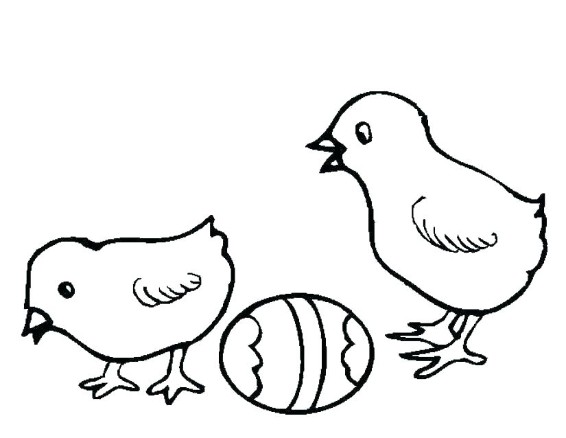 Màu gà cuốn sách Trẻ sơ sinh Vẽ Clip nghệ thuật  Phim Hoạt Hình Con Gà png  tải về  Miễn phí trong suốt Con Chim Nước png Tải về