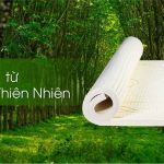 Những điều cần biết về Nệm cao su thiên nhiên hiện nay - Nệm Thuần Việt - Nệm  Cao Su, Nệm Foam, Nệm Lò Xo