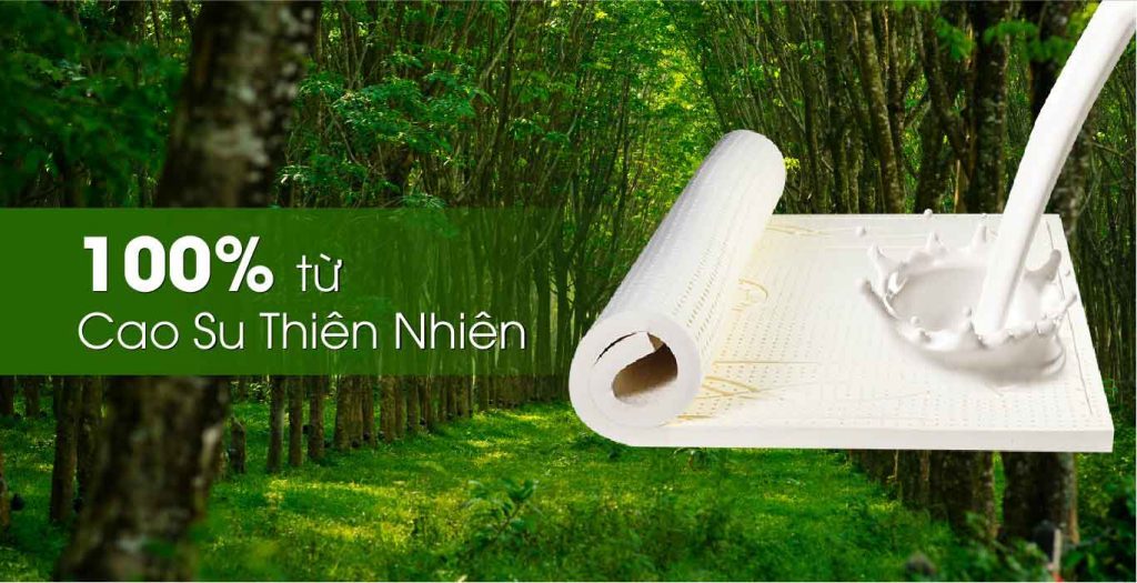 Những điều cần biết về Nệm cao su thiên nhiên hiện nay - Nệm Thuần Việt - Nệm Cao Su, Nệm Foam, Nệm Lò Xo