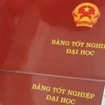 Từ 01/3/2020, không ghi hình thức đào tạo trên bằng đại học