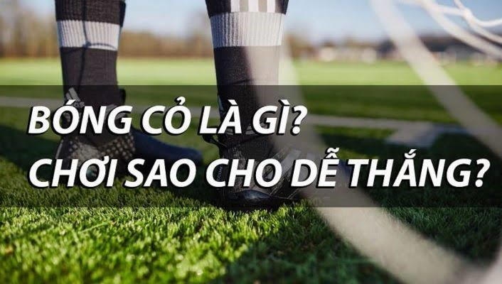 Quả bóng cỏ là gì? Kinh nghiệm đánh bóng sân cỏ theo tiêu chuẩn của chuyên gia