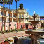 free spins casino Mr Bet