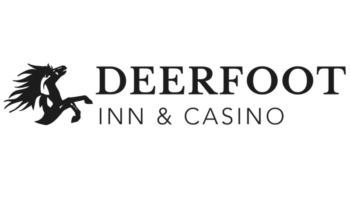 casino dingo no deposit bonus codes