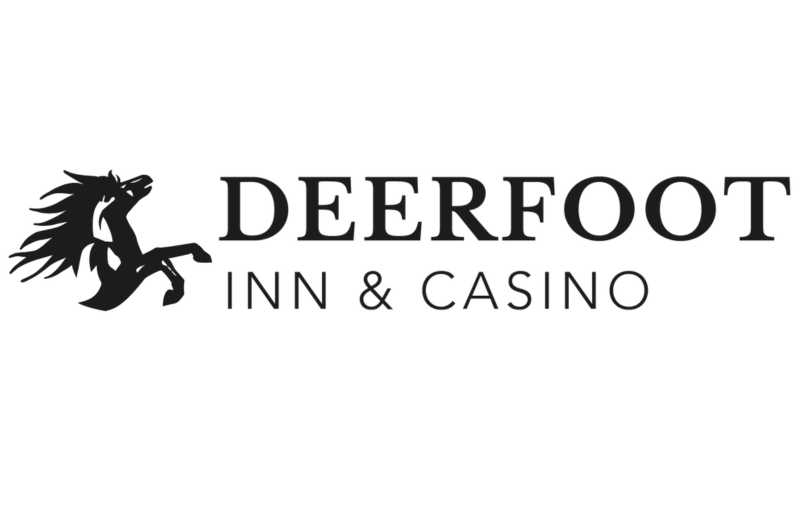 casino dingo no deposit bonus codes