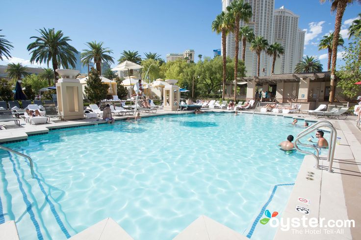 no deposit bonus casino zar