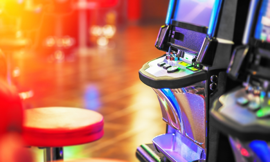 zamsino no deposit bonus