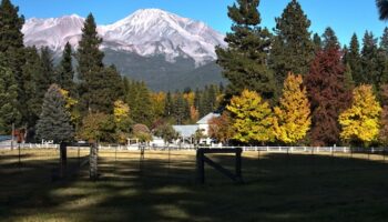 best casino app for android