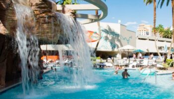 dino reels 81 kostenlose Spins 150