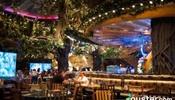 no deposit bonus house of pokies