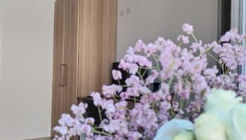 best online casino codes