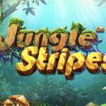 50 free spins on heidi at the oktoberfest no deposit