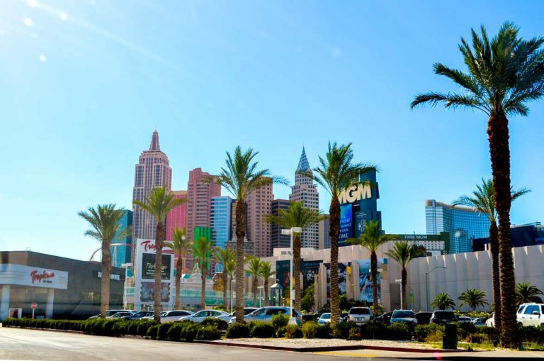 online casino 100 free spins