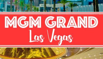 Absolute Super Reels Spielstellen