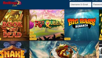 no deposit bonus bingo