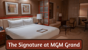 best online casino payouts for us players