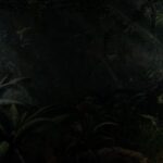 history of bingo game