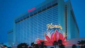 magic fruits slot free spins