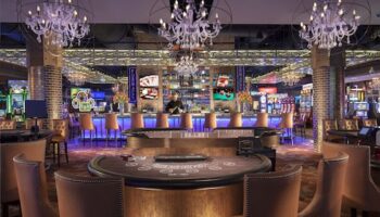 dolphins pearl deluxe download