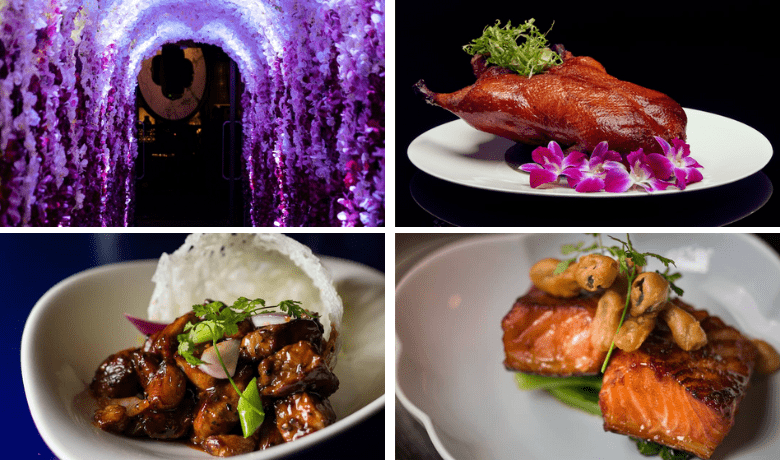 casino games online for free no downloads