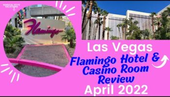 100 kostenlose Spins 2026 Keine Einzahlung