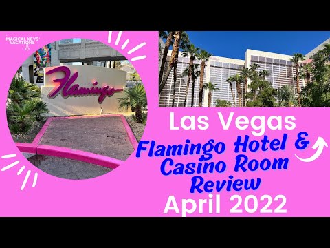 100 kostenlose Spins 2026 Keine Einzahlung