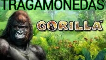 tragamonedas gratis 3d