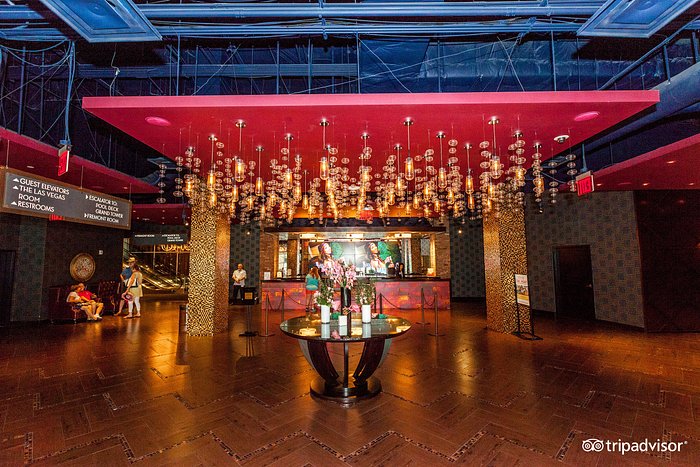 Abu King-App herunterladen