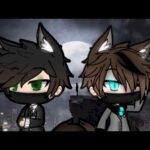 Cómo jugar las máquinas tragamonedas y ganar