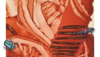 no deposit bonus new casino