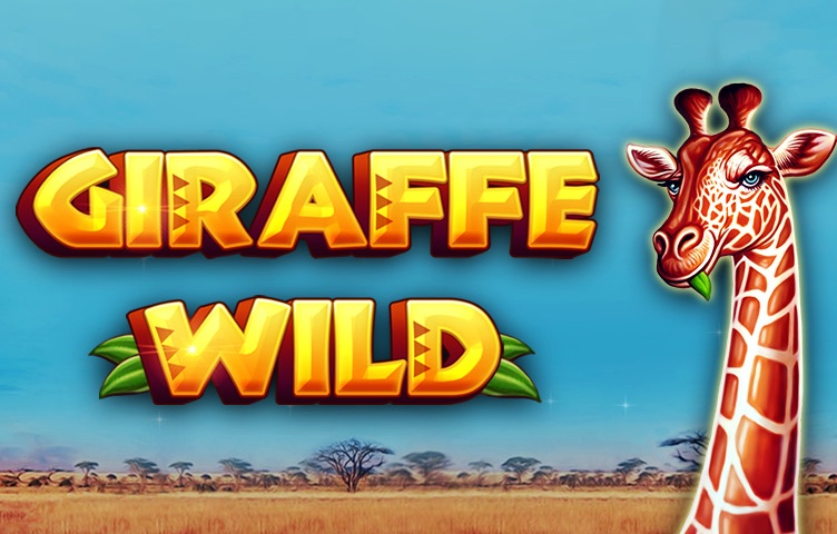 Winbay Casino and Sportsbook