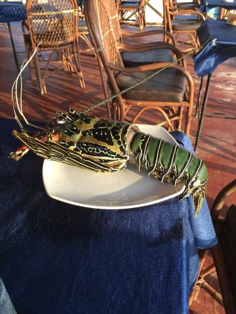 olympus thunder  deposit 2026