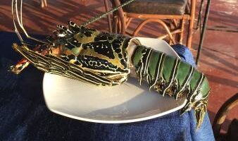 100$ no deposit bonus casino 2019