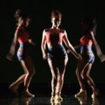 casino red dog no deposit bonus 2026