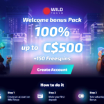 Wild Tokyo Casino Review » 🎖️ Updated【 September 2025】